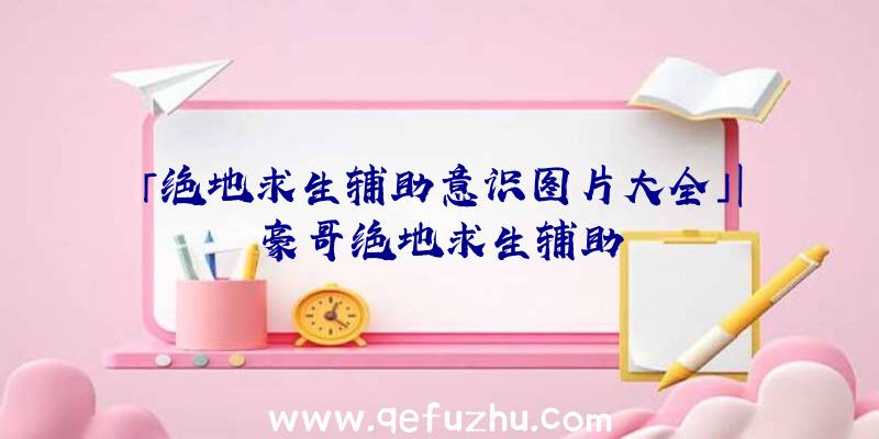 「绝地求生辅助意识图片大全」|豪哥绝地求生辅助